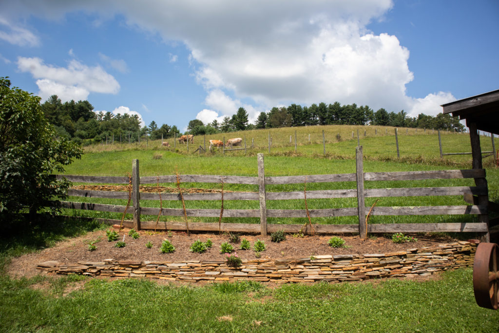 Exploring the Outdoors in Galax Virginia Visit Southwest Virginia
