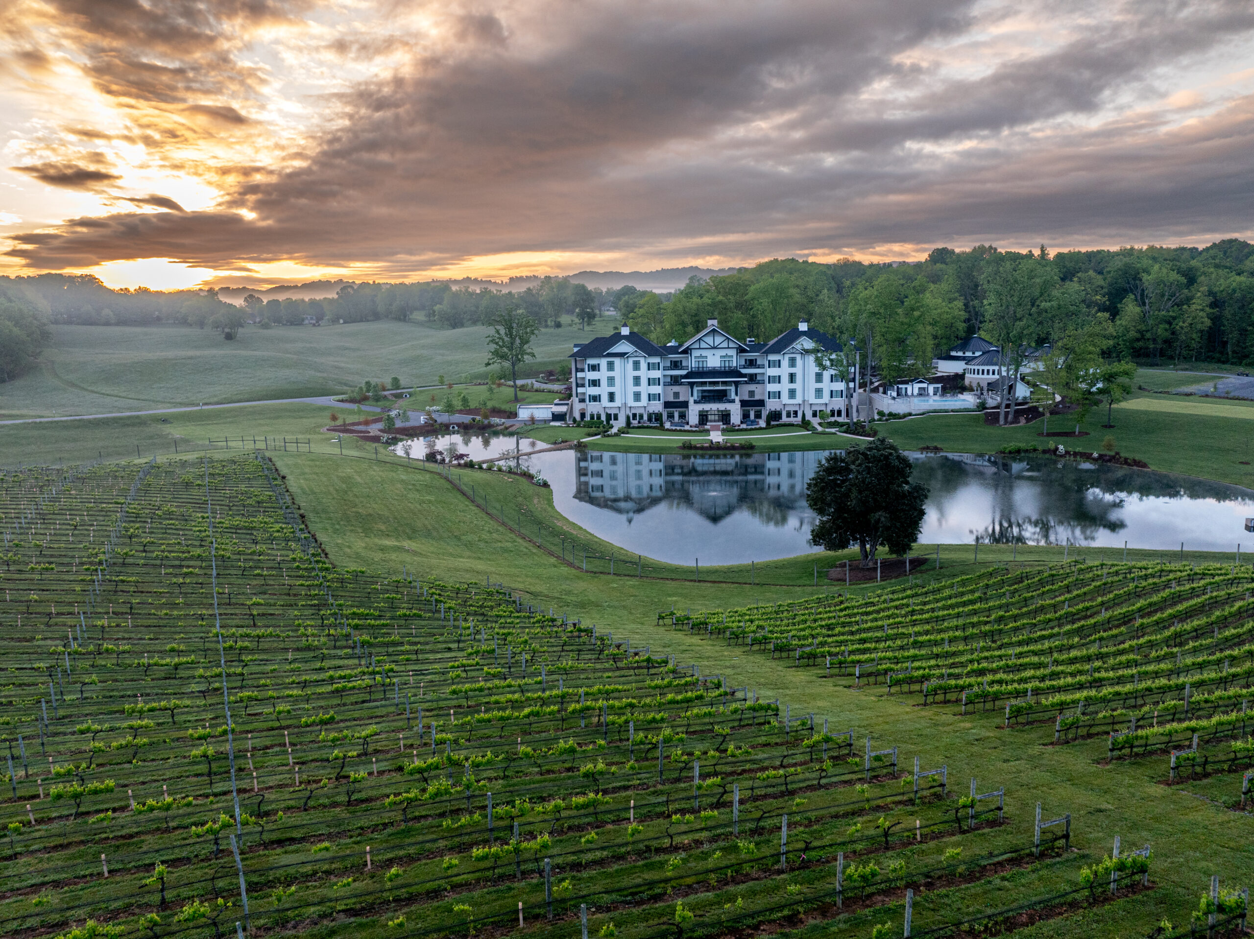 Nicewonder Farm and Vineyards